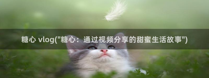 糖心vlog棒棒糖：糖心 vlog(\