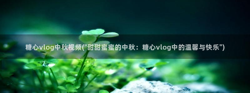 糖心vlog视频提取