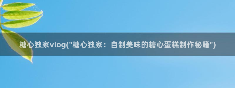 糖心VLOG果冻传媒