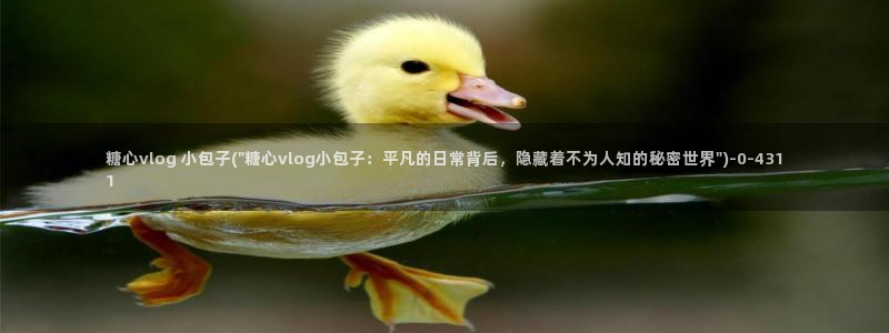 糖心vlog摄影师：糖心vlog 小包子(\