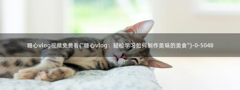 糖心vlog小包