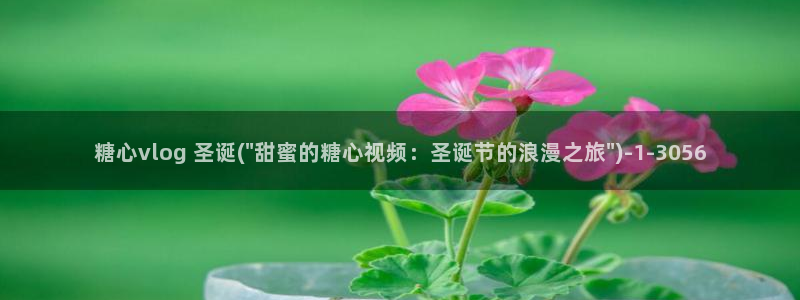 国产糖心vlog网址：糖心vlog 圣诞(\